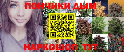 стафф Краснодар